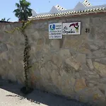 La Orquidea Morada * Conil De La Frontera