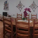 La Orquidea Morada * Conil De La Frontera