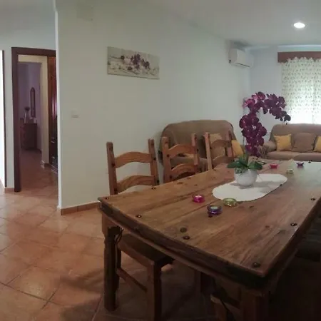La Orquidea Morada Conil De La Frontera